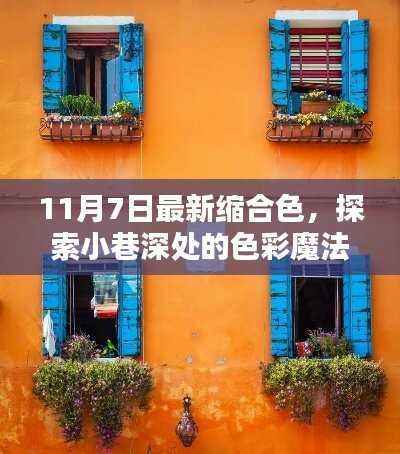 最新缩合色探索,小巷深处的色彩魔法与小店的秘密揭秘