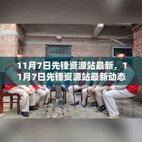 11月7日先锋资源站最新动态,多维度观点探析