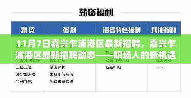 嘉兴乍浦港区最新招聘动态,职场人的新机遇在乍浦港区开启