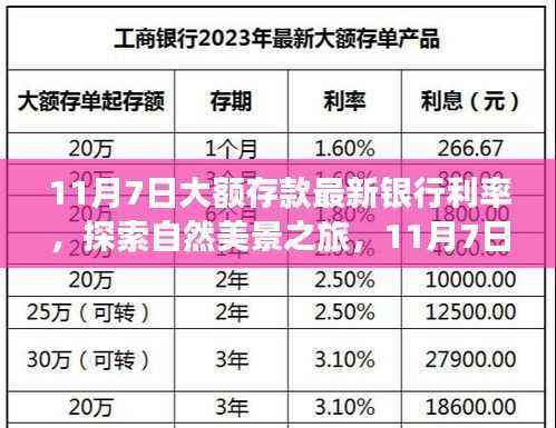 11月7日大额存款利率更新,探索最佳银行利率,心灵与自然之旅的宁静平和探索