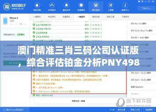 澳门精准三肖三码公司认证版，综合评估铂金分析PNY498.96