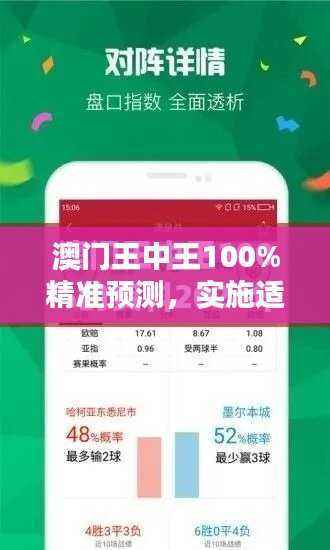 澳门王中王100%精准预测,实施适中策略USK232.55