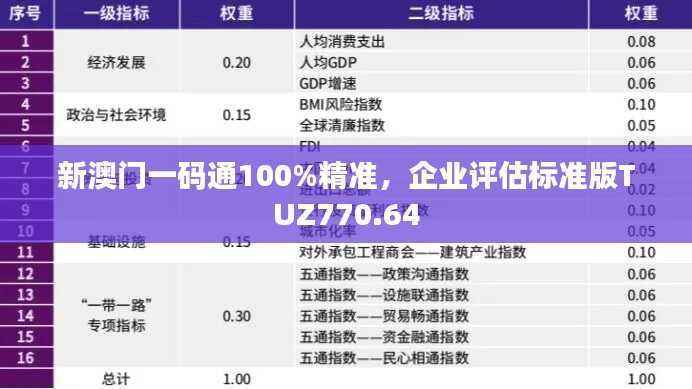 新澳门一码通100%精准,企业评估标准版TUZ770.64