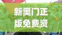 新奥门正版免费资料大全旅游团,素材动态方案解答_理财版GRI853.2