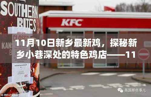 走马观花 第9页