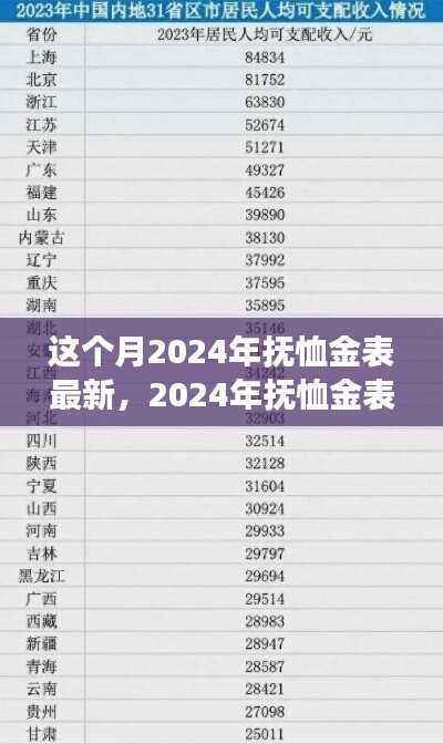 2024年抚恤金表更新,变化中的学习之旅,自信与成就感的鼓舞之路