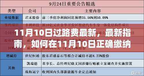 11月10日过路费缴纳最新指南,正确缴纳过路费步骤详解