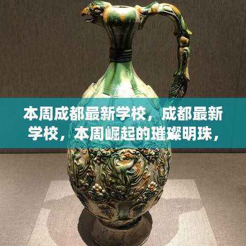 成都本周崭露头角的新学校,引领教育新篇章,璀璨明珠闪耀登场
