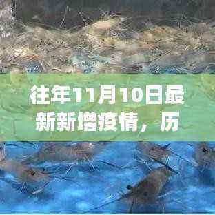 历年11月10日疫情数据深度解析,特性、体验、竞品对比及用户洞察报告