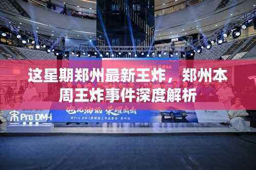 郑州本周王炸事件深度解析,最新事件揭秘