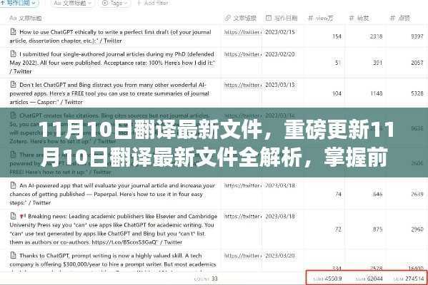 11月10日翻译最新文件全解析,掌握前沿资讯的必备攻略