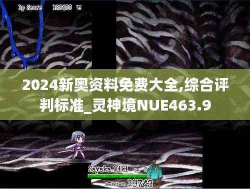 2024新奥资料免费大全,综合评判标准_灵神境NUE463.9