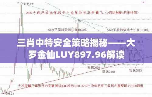 三肖中特安全策略揭秘——大罗金仙LUY897.96解读