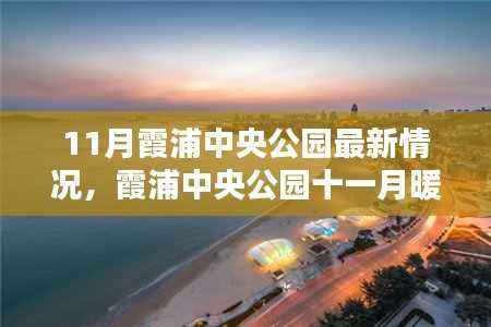 11月霞浦中央公园温馨日常,十一月暖阳下的美景与日常更新
