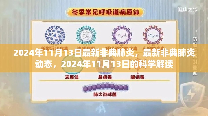 最新非典肺炎动态与科学解读(2024年11月13日更新)