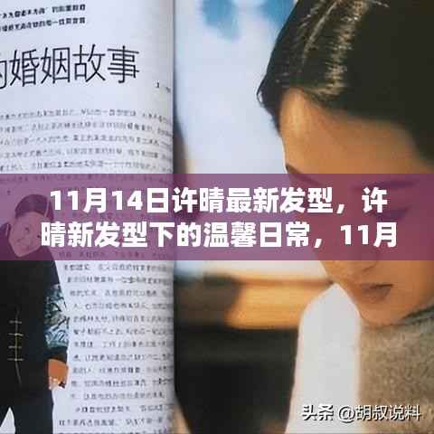 许晴11月14日新发型亮相,温馨日常中的美丽邂逅