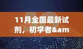 11月全国最新试剂使用指南,初学者与进阶用户全流程参考