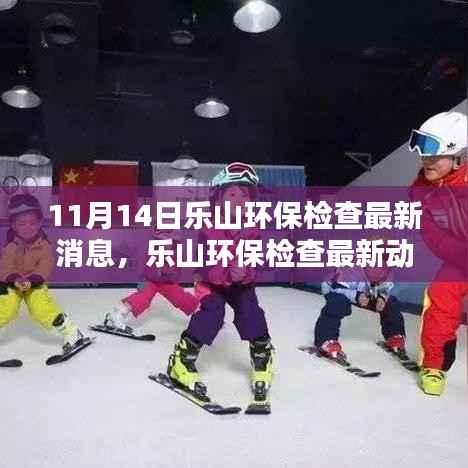 乐山环保检查最新动态,11月14日更新及操作指南
