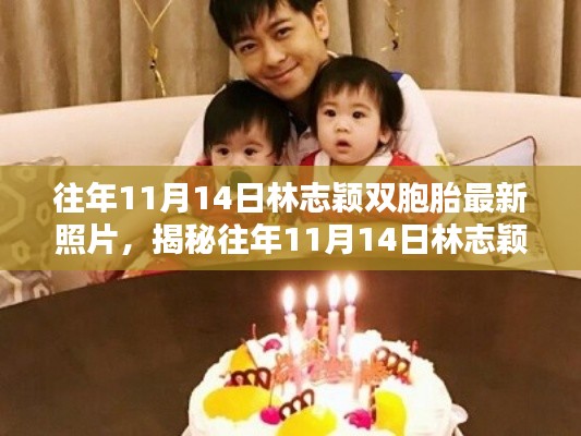 揭秘林志颖双胞胎往年11月14日最新照片曝光,详细步骤指南