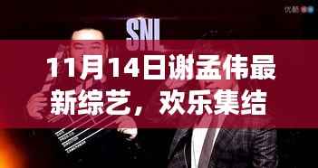 谢孟伟新综艺欢乐集结号,温馨日常的启程(11月14日最新更新)