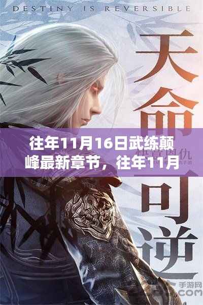 往年11月16日武练颠峰最新章节,深度解析与观点阐述