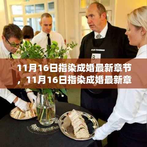 11月16日指染成婚最新章节揭秘与深度解析，小红书上的甜蜜爱情之旅