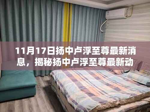 揭秘扬中卢浮至尊最新动态,独家消息揭秘最新进展(11月17日更新)