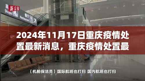 2024年11月17日重庆疫情处置回顾与展望,最新消息与动态