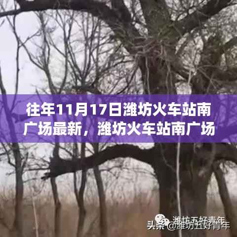 揭秘潍坊火车站南广场最新进展,十一月十七日的变迁纪实