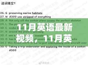 11月英语最新视频深度解析与观点冲突探讨