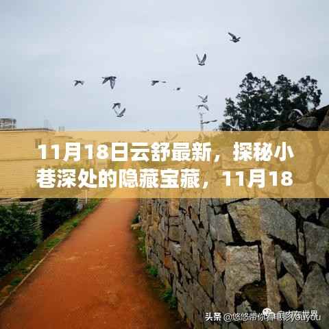 探秘小巷深处的隐藏宝藏,云舒最新特色小店之旅(11月18日更新)