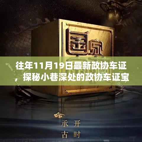 探秘政协车证宝藏店,11月19日的独特发现之旅揭秘往年政协车证内幕!
