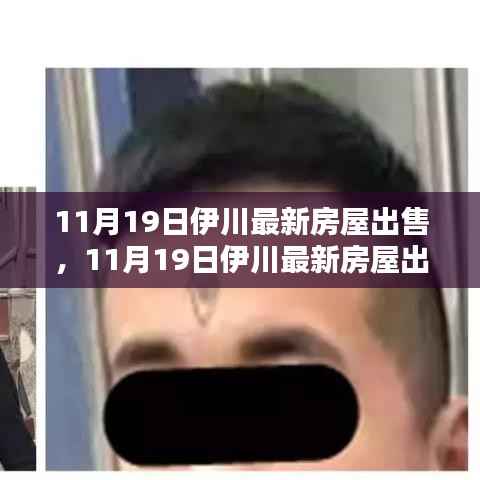 11月19日伊川最新房屋出售全面评测与详细介绍