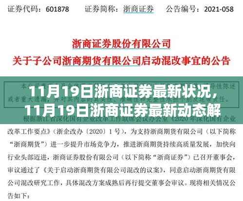 浙商证券最新动态解析,11月19日最新状况报告
