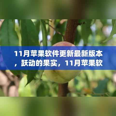 跃动的果实,11月苹果软件更新背后的励志故事与自信成就之源