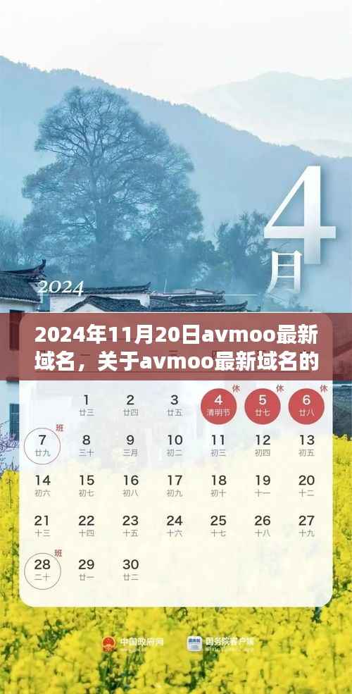 2024年11月最新版avmoo域名解析与探讨