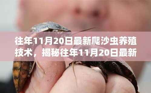 手舞足蹈 第5页