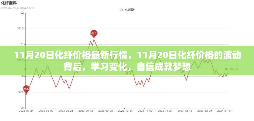11月20日化纖价格最新动态,波动背后的学习变化与追梦自信