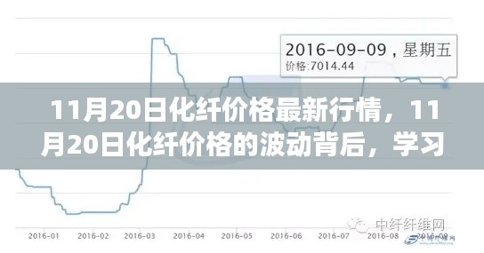 11月20日化纖价格最新动态,波动背后的学习变化与追梦自信