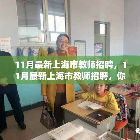 11月最新上海市教师招聘启航你的教育梦想之旅