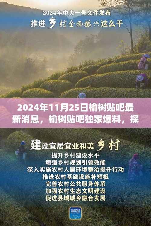 榆树贴吧独家爆料,探寻自然秘境的心灵之旅(最新消息)