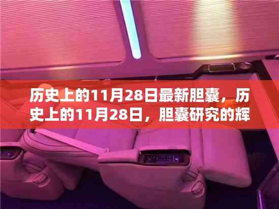 历史上的11月28日,胆囊研究的辉煌时刻与最新进展探索