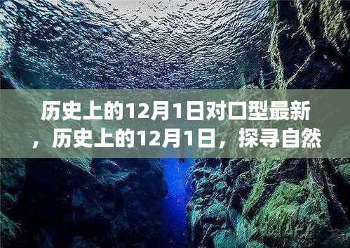 历史上的12月1日,探寻自然美景之旅启程!