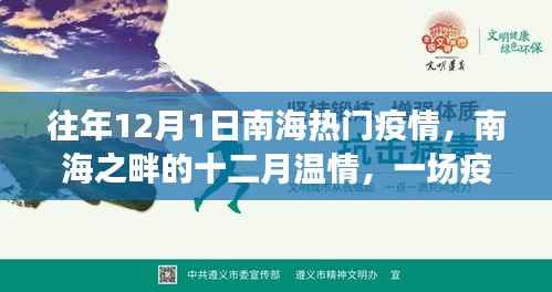 南海之畔的温情记忆,十二月疫情中的友情篇章