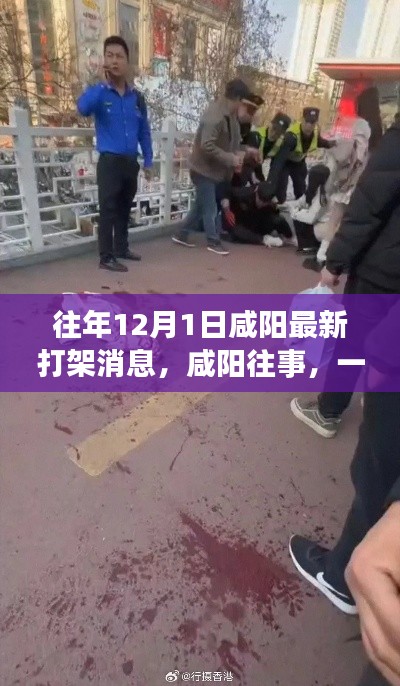 咸阳打架事件背后的故事与反思,历年12月1日的最新消息回顾