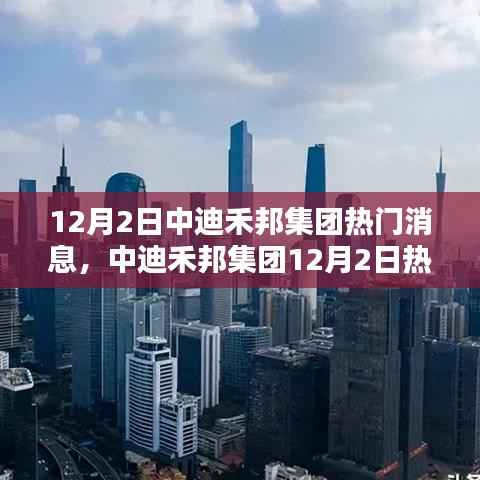 中迪禾邦集团最新动态解析,热门消息与观点探讨(12月2日)
