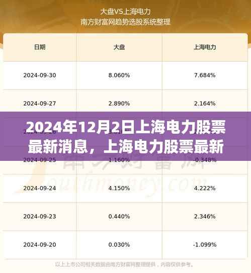 2024年12月2日上海电力股票最新动态及深度评测