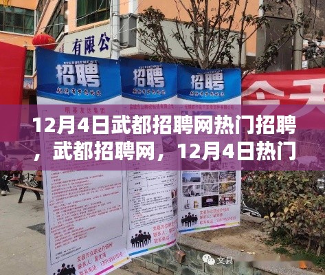武都招聘网,揭秘12月4日热门招聘盛况回顾