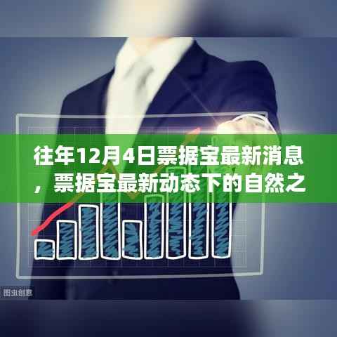 票据宝最新动态下的自然之旅,寻找内心平静的奇妙探险之旅