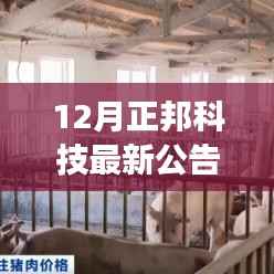 正邦科技最新动态揭秘,深度解读行业趋势与12月公告背后的故事